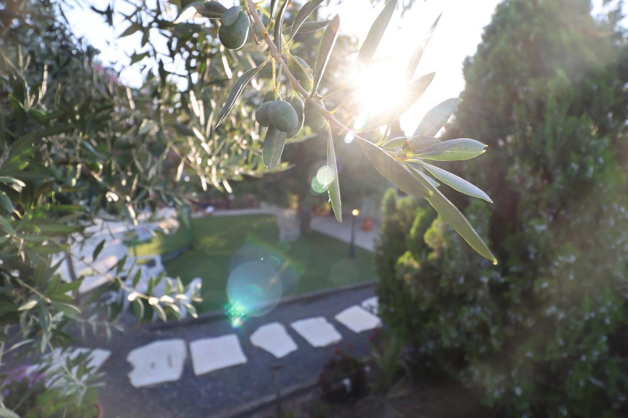 Morad Haharbel - Boutique Resort Exterior photo